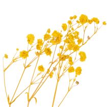 Article Bouquet de fleurs séchées avec gypsophile. Branches fleuries décoratives idéales pour la décoration de table saisonnière. 70 cm