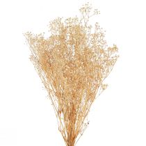 Article Gypsophile Pensée Gypse Herbe Fleurs blanches 50cm 55g