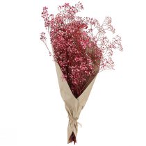 Article Gypsophile Séchée Rouge Baie - Fleurs Décoratives 50 cm 55 g