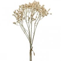 Article Gypsophile Artificielle Crème Gypsophile 46cm bouquet de 3 pièces