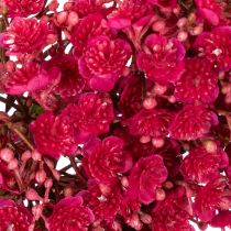 Article Couronne décorative en gypsophile artificielle rose-rouge 30 cm