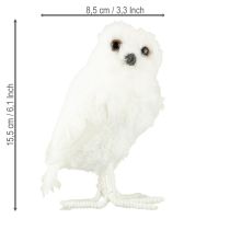 Article Chouette des neiges décorative blanche avec fourrure et plumes 15,5 cm 2 pièces