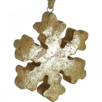 Article Flocon de neige en bois de manguier naturel, cristal de neige doré Ø10cm 6pcs