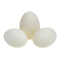 Oeufs de cygne 9cm blanc crème 6pcs