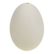 Oeufs de cygne 9cm blanc crème 6pcs