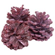 Article Pommes de pin noir Déco naturelle Rouge, blanchies 5-7cm 1kg