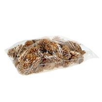 Article Pommes de pin noires décoratives crème 5-8cm 1kg