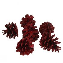 Article Pommes de pin noires Cônes décoratifs bordeaux rouges 6-8cm 6 pcs