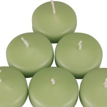 Bougies flottantes vertes Bougies Wenzel vert tendre 30×50mm 8pcs