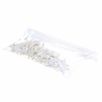 Article Boutons étoile de mer blanc 30pcs