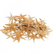 Article Starfish scatter decoration home deco mini étoile de mer nature 2-4cm 50p
