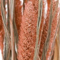 Article Setaria soies millet décor sec saumon 69cm 70-75g x 2pcs