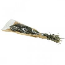 Article Fleurs Séchées Setaria Anthracite Poils Naturels Millet Bouquet 100g