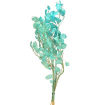 Article Feuille d&#39;argent séchée violette lunaire Lunaria bleu clair 65-70 cm 20 g