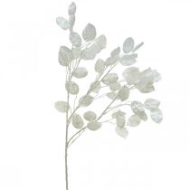 Branche décorative feuille d&#39;argent branche Lunaria blanche branche artificielle 70cm