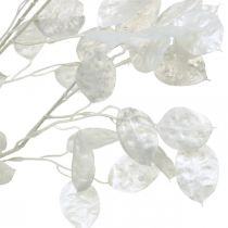 Branche décorative feuille d&#39;argent branche Lunaria blanche branche artificielle 70cm