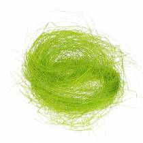Herbe décorative verte printanière en sisal 500g