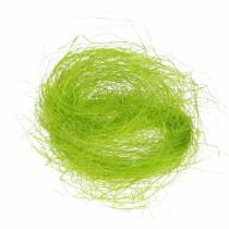 Herbe déco vert printemps sisal 300g