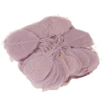 Article Feuilles de Bodhi squelettisées pour des décorations créatives
