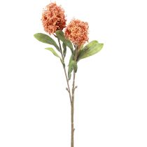 Article Skimmie Skimmia Japonica Fleurs Artificielles Orange DryLook L59cm