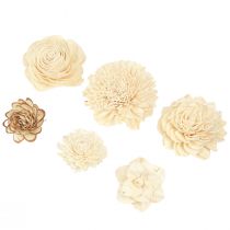 Article Sola Flowers Wood Fleurs en Bois Décoration Mix Crème 6-11cm 12-15 pcs