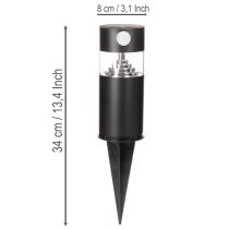 Article Lampe solaire de jardin avec détecteur de mouvement, LED, 34 cm