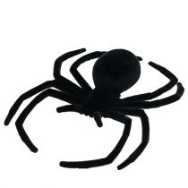 Araignée noire 16cm floquée