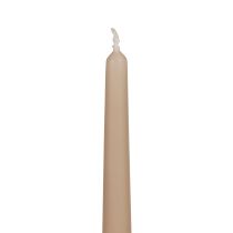 Bougies coniques Bougies Wenzel beige 250/23mm 12pcs