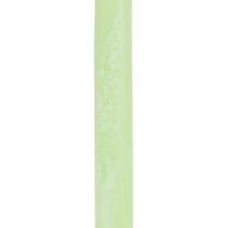 Article Bougies coniques de couleur unie vert lime​​​​​​​ 21×240mm 12 pcs