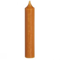 Article Bougies coniques bougie en cire courte caramel 21x110mm 6 pcs