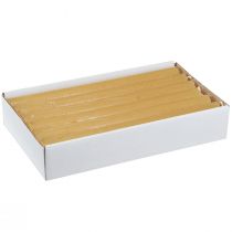 Article Bougies coniques bougies unies miel 21×240mm 12 pcs