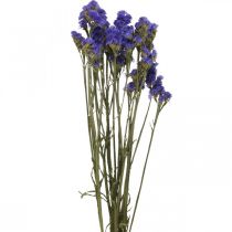 Article Bouquet de Lavande de Mer, Fleurs Séchées, Lavande de Mer, Statice Tatarica Bleu L46–57cm 23g