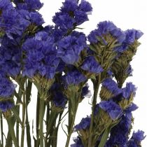 Bouquet de Lavande de Mer, Fleurs Séchées, Lavande de Mer, Statice Tatarica Bleu L46–57cm 23g