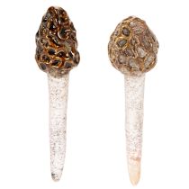 Article Morilles artificielles décoratives à piquer pour pots de fleurs et tables, 13 cm, lot de 2
