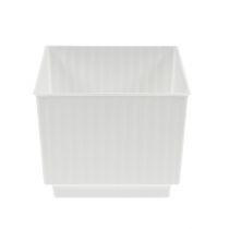 Article Cube pour composition florale Barquette 7×7×6cm Blanc 10pcs