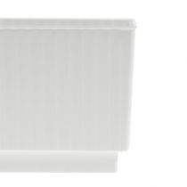 Article Cube pour composition florale Barquette 7×7×6cm Blanc 10pcs