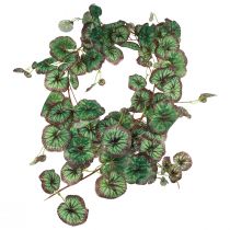 Article Guirlande décorative Saxifrage artificielle verte Saxifraga 152cm
