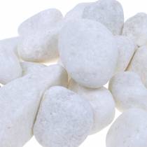 Article Galets de rivière Blanc Naturel 3-5cm 1kg