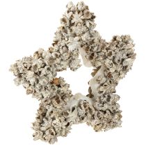 Article Etoile à suspendre décoration de Noël blanche, pailletée Ø15cm