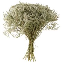 Article Fleurs séchées, lavande de plage, statice 2 kg, décoration naturelle