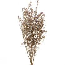 Article Fleurs Séchées Lilas Limonium Plage Violet 70cm 50g