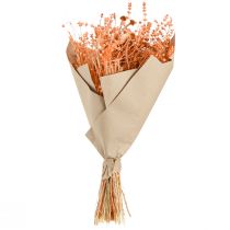 Article Bouquet de fleurs séchées bohème, orange et abricot, décoratif, 45 cm, 80 g