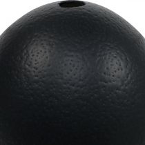 Article Œuf d'autruche décoratif noir Ø12cm H14cm
