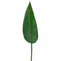 Strelitzia Perroquet Fleur Feuille Décorative Strelitzia Feuille Vert L81cm