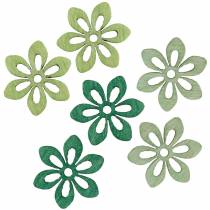 Saupoudrer de fleur de décoration vert, vert clair, fleurs de bois de menthe à saupoudrer 144p