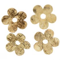 Article Décoration à disperser fleurs d&#39;écorce de bois bouleau vintage Ø5cm 36 pcs