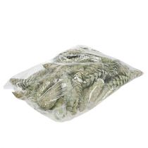 Article Cônes décoratifs Strobus vert pomme blanc lavé 15-20 cm 50 pièces