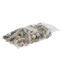 Article Cônes Strobus 15cm - 20cm lavés en blanc 50 pcs