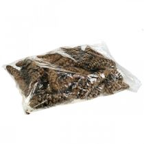 Article Pommes de pin Pin blanc Strobus Naturel Mixte 2,5kg