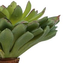 Article Plante Verte Artificielle Succulente Echeveria Vert Ø6cm 10.5cm